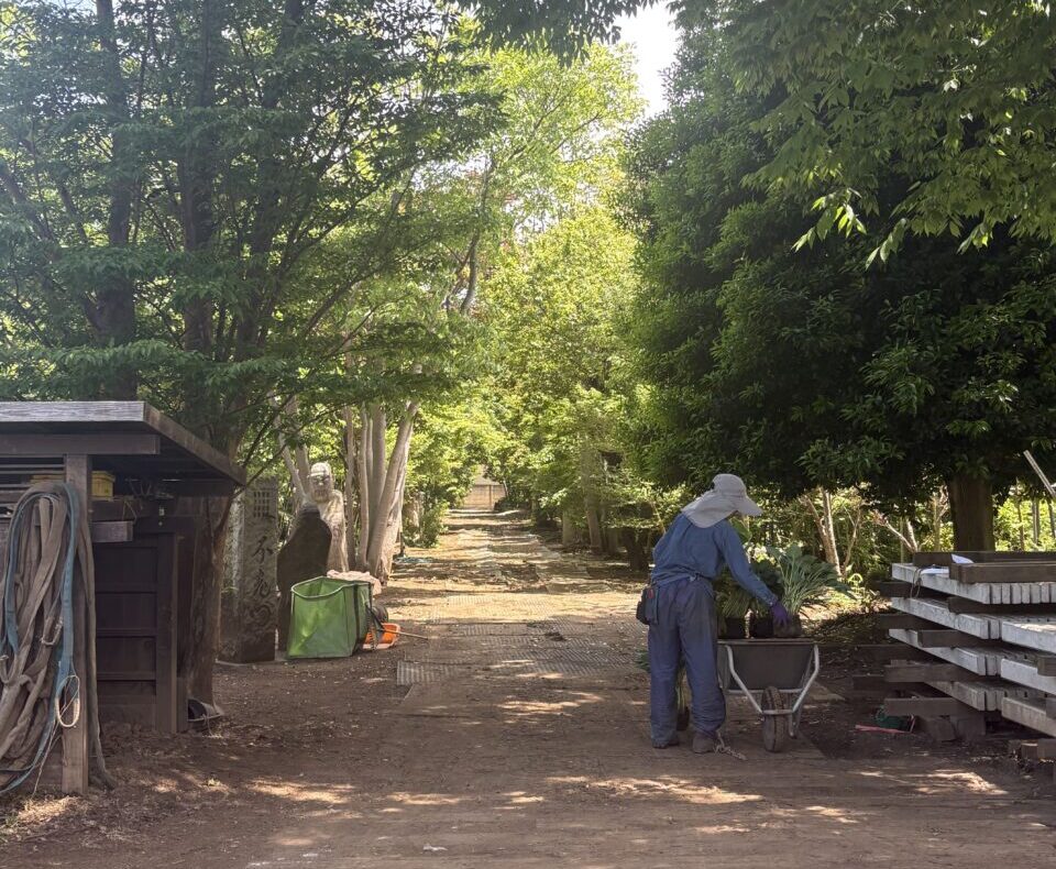 たくさんの木々に覆われた石正園